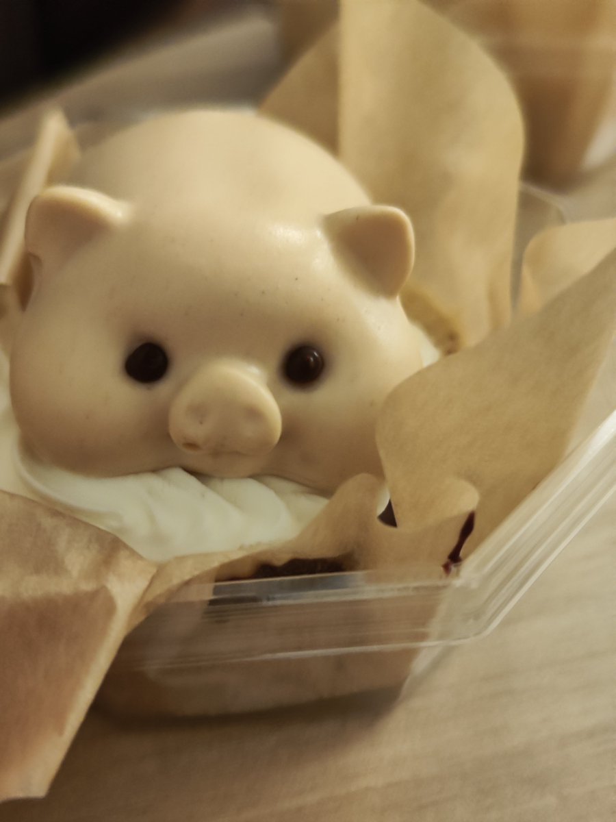 Momosukeputon's tweet photo. そんなつぶら��瞳で見つめられたら食べられないでちゅ〜🐷 https://t.co/BbKk92vbiP