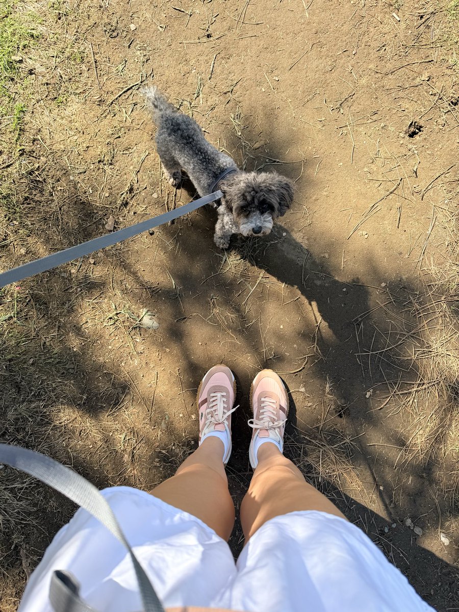 Natali_Findom's tweet photo. The weather is nice, so I’ve gone out for a walk with my beloved dog. I’d like to have some delicious coffee and a dessert, and take a stroll along the waterfront. 

What are you up to this Tuesday afternoon?🩷 https://t.co/gBmjqNEgGy