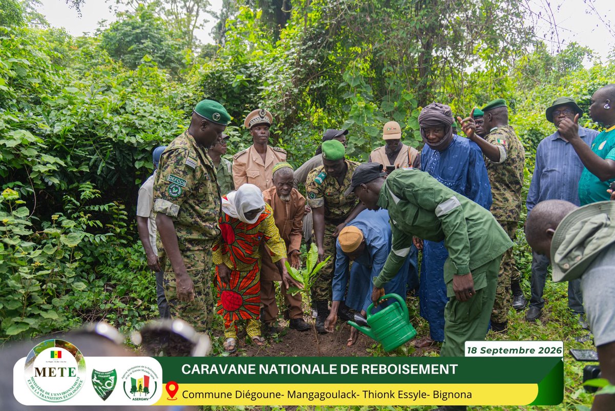 asergmv's tweet photo. Caravane Nationale de Reboisement 2026

Le Blouf donne le ton en Casamance ! De Diégoune à Kartiack, en passant par Tendouck et Thionck-Essyl, les communautés s’engagent pour reboiser, protéger les forêts et préserver nos écosystèmes.
 #asergmv #senegal #caravane #reboisement https://t.co/xy8HBocmWk
