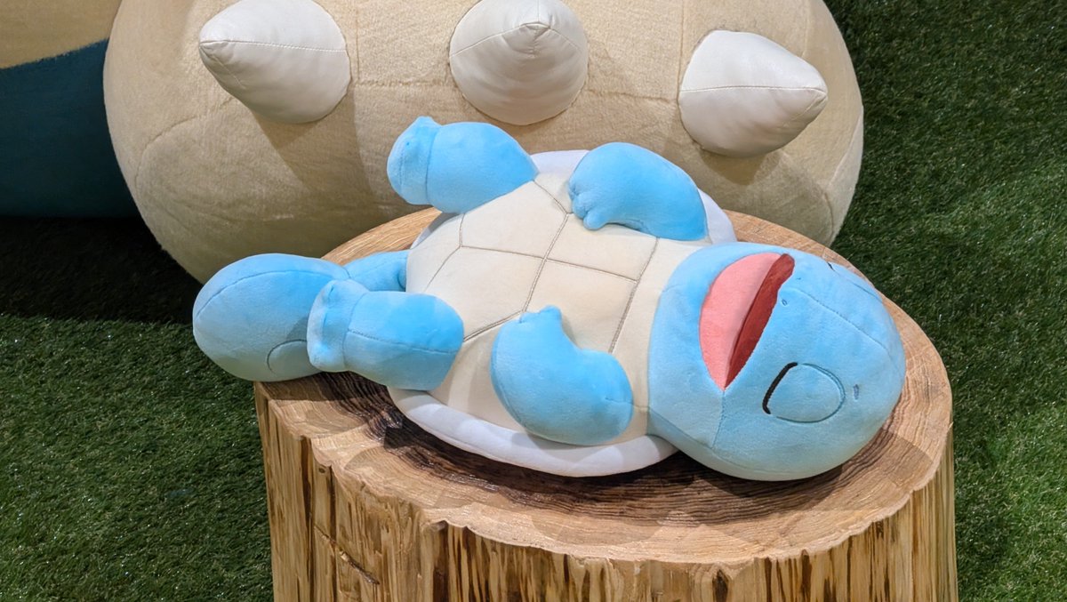 spring2511's tweet photo. ポケモンが寝てた〜可愛い🥰 https://t.co/Zbo8cQ647s