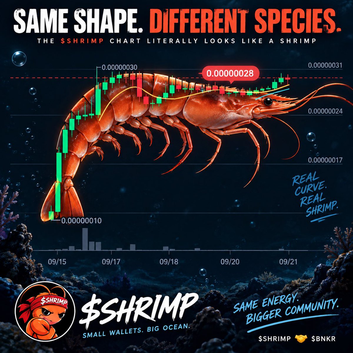 SHRIMPonRH's tweet photo. @Traderfinn0 $SHRIMP ARMY https://t.co/MEwpIZzvGZ
