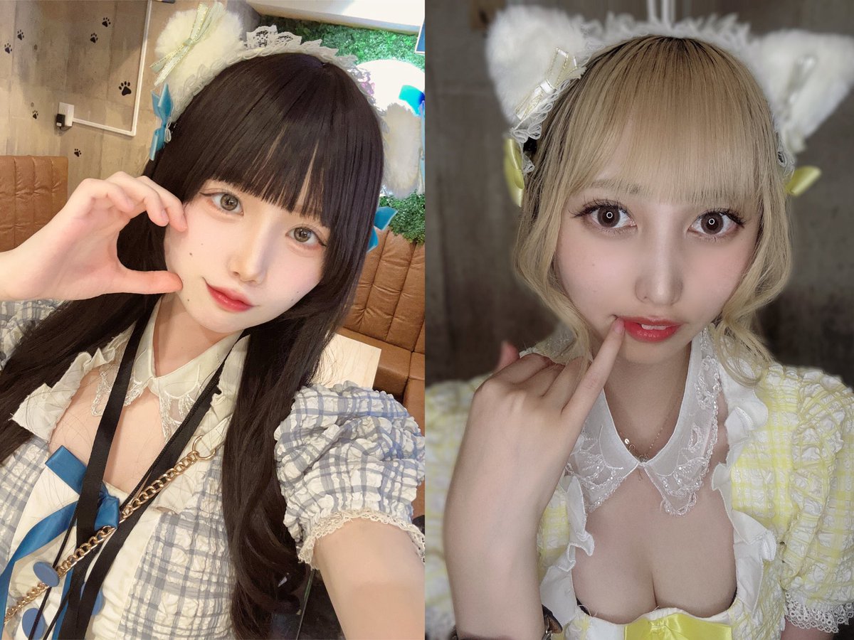 sendai_camulemo's tweet photo. 🦊9/22出勤メンバー🦊

21時
あゆ@ay_U_xoxo 
しの@sino_0706_ 
みみみ@333mimimi__ 

22時
たま@10bxy 
神楽@CAGURA_sendai 

23時
てん@_ten_ooo 
ピピ@CL_pipi 

24時
れい@0_chan__ 

ご帰宅お待ちしております🙇‍♀️ https://t.co/ysonRgNy2d