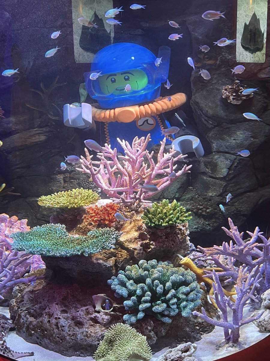 Tsurugichen1989's tweet photo. 水族館大好きマンなので子供みたいワクワクしながら入りました🪼🐟🦈
#名古屋旅行
#名古屋シーライフ水族館 https://t.co/TkUcHx2byB