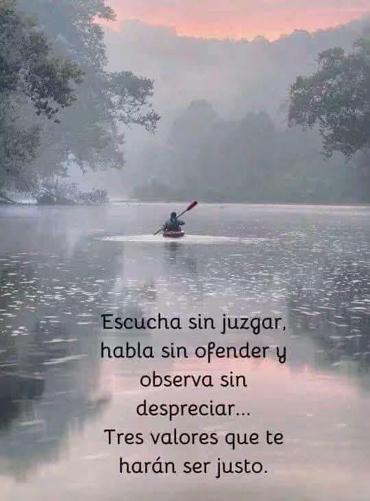 patyospinar's tweet photo. https://t.co/KLyj1smm3K