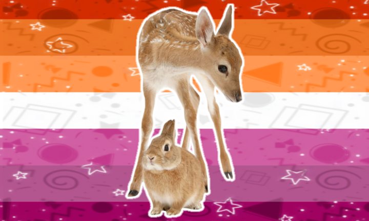 vannybutch's tweet photo. Lesbian flags with Bunnies and Deer https://t.co/Nv4NoGxJaX
