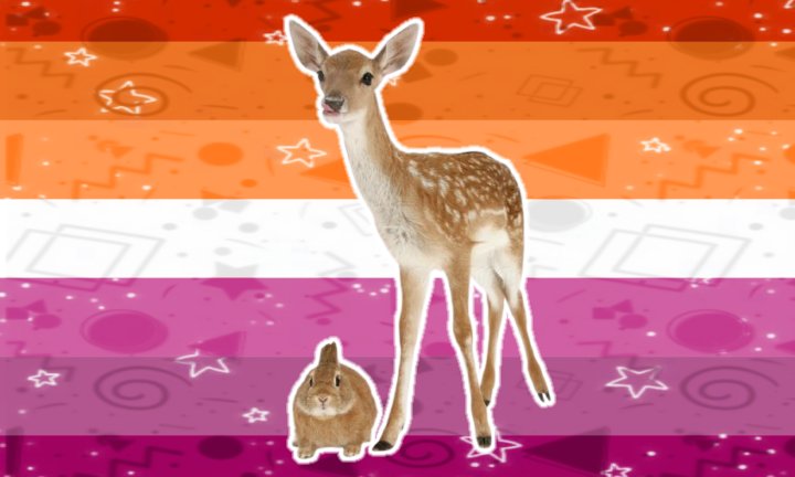 vannybutch's tweet photo. Lesbian flags with Bunnies and Deer https://t.co/Nv4NoGxJaX