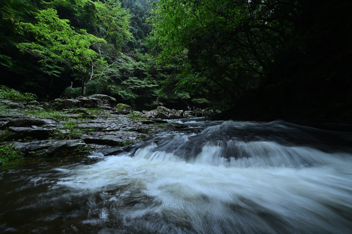 proneior's tweet photo. Nikon Z5Ⅱ + MonsterAdapter LA-FZ1 + AI AF Zoom-Nikkor 18-35mm f/3.5-4.5D IF-ED
手軽に超広角が楽しめるレンズで、アダプター経由でもボディ内手ぶれ補正も十分機能しているようです（SS 1/4、手持ち）。 https://t.co/vgg5j1y3bE