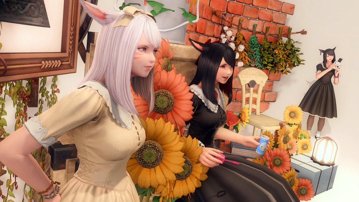 ffxiv_aki's tweet photo. この連休ずっと一緒に遊んでもらってる✨
ほんとの姉妹に見えてきたよ🐈‍⬛🐈

連休もあと1日で終わりだね…
でわおやすみなさーい( ˘͈ ᵕ ˘͈  )
 #おやミコ #ミコッテ #FF14 #st_aQ https://t.co/hgXiWhgatK