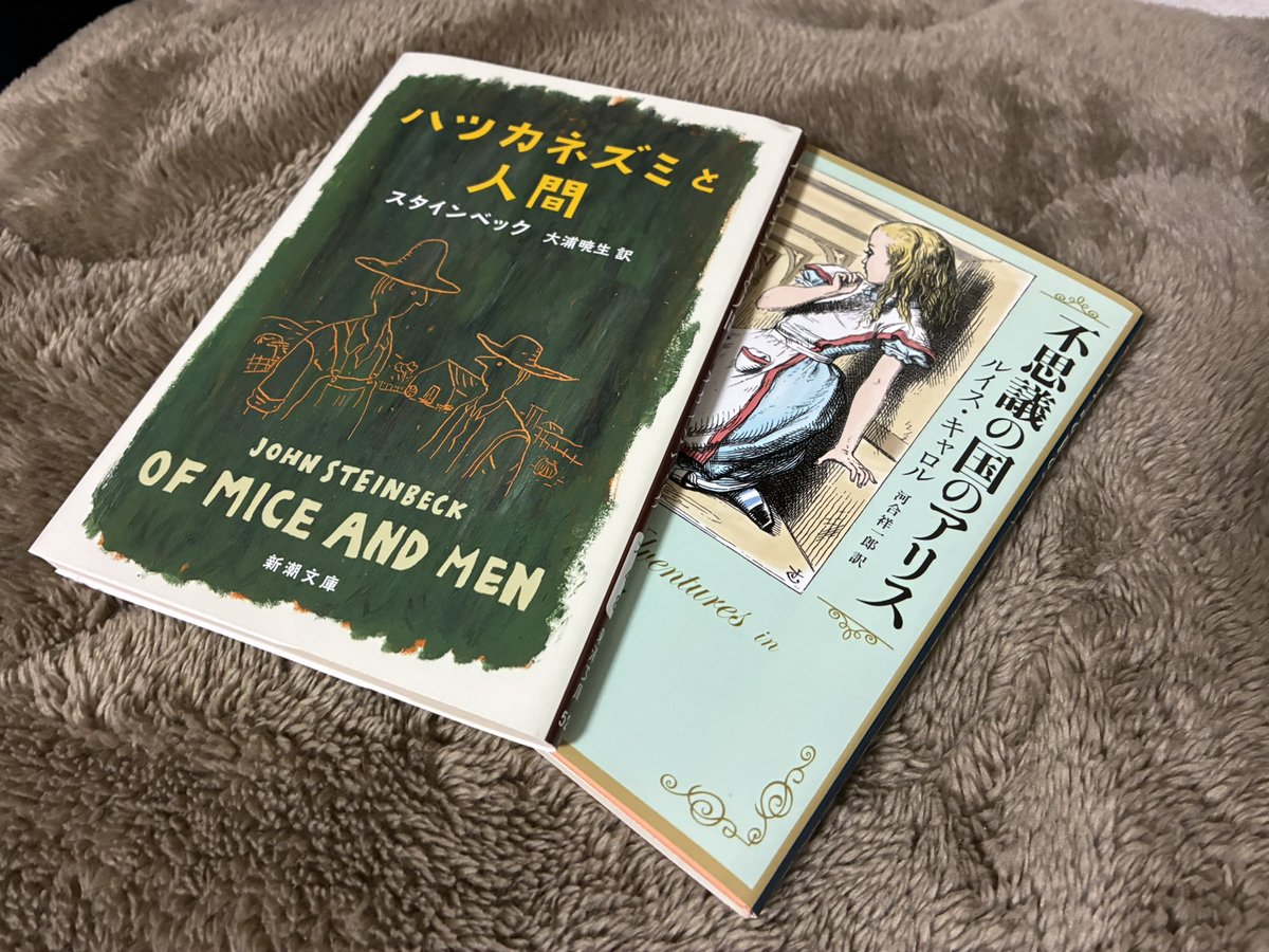 back_97_todo's tweet photo. 久々に断念した小説…

通勤中(バス)と休憩中も読書してる身で、普段ならスイスイ読み進むけど、この2冊だけはどうも頭の中で情景がイメージしづらくて…(自分の知能が低いだけです…すみません……)

#読書垢 https://t.co/SEgMUH37RT