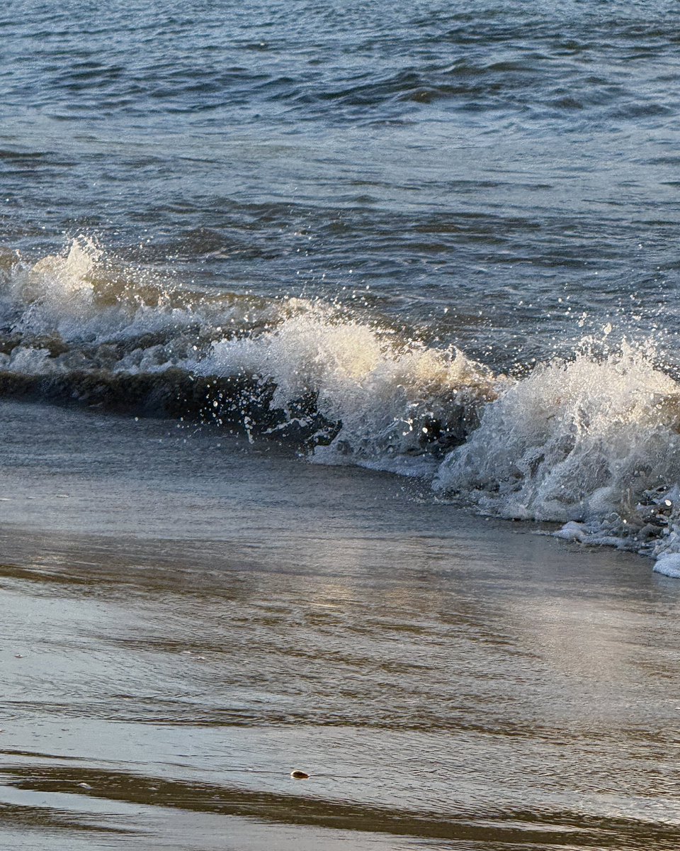 esrevinuz's tweet photo. 바다 좋아 바다 최고 바다 사랑해 바다 짱 🌊🌊🪽🪽🩵🩵💙💙 https://t.co/i3wQynjoAF