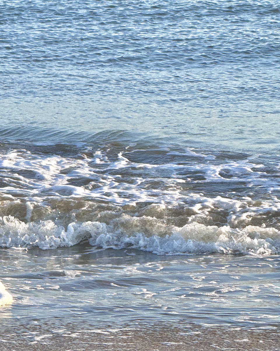esrevinuz's tweet photo. 바다 좋아 바다 최고 바다 사랑해 바다 짱 🌊🌊🪽🪽🩵🩵💙💙 https://t.co/i3wQynjoAF