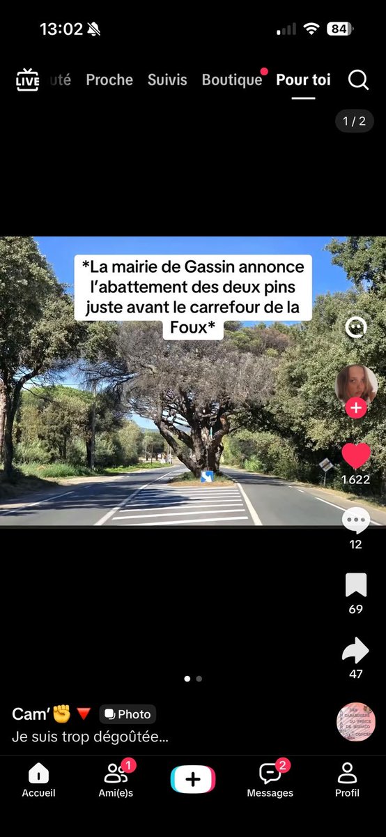 StudereAmo's tweet photo. @CarineGalli Êtes vous au courant de ce scandale ? https://t.co/ewW24g7eWF