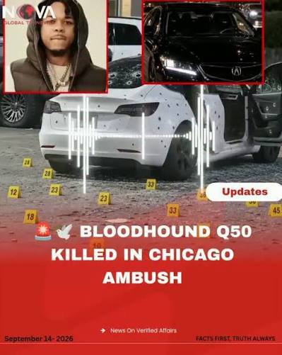 airevolution567's tweet photo. @AmberjacksonM63 @KingAltess @Keith39799700 @dougnoose Look at you niggers hunting each other you braindead niggs https://t.co/GJWkUDcb9w