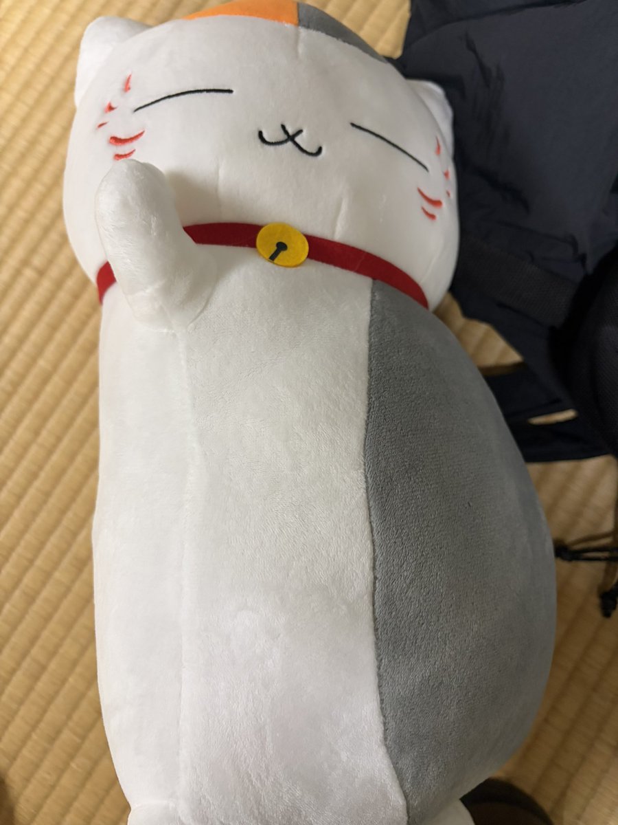 Erick_FGS's tweet photo. UFOキャッチャーで2000円溶かしてしまった、、、 https://t.co/j5LCagnt6C