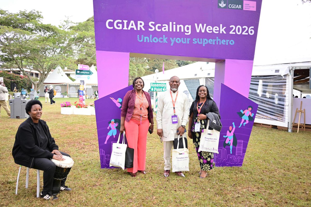 CGIAR's tweet photo. The energy is high in Nairobi, Kenya today as #ScalingWeek2026 begins!

Convened by the CGIAR Scaling for Impact program and @ILRI.org, Scaling Week brings together 400 scaling champions across food, land and water systems to work on real-world scaling questions and challenges. https://t.co/l1vtzvuIBL