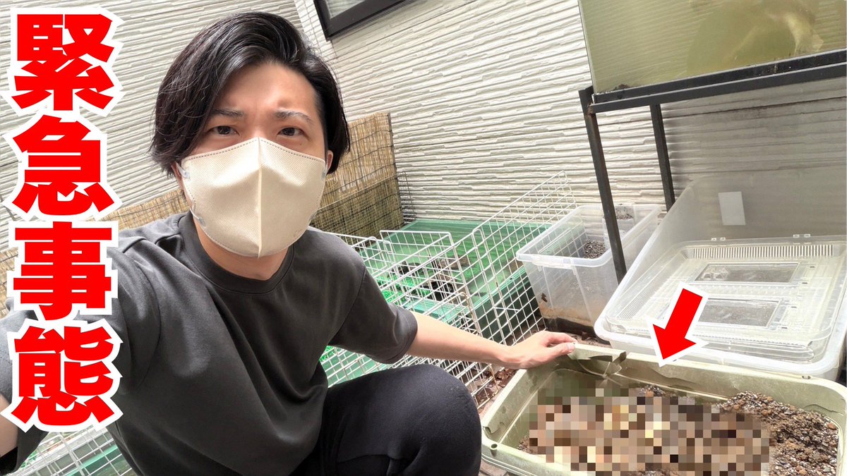 aririn_leopa's tweet photo. ▼YouTube更新

とんでもないことが起きました
https://t.co/AlmsguInVT https://t.co/3tynJMEB4Z
