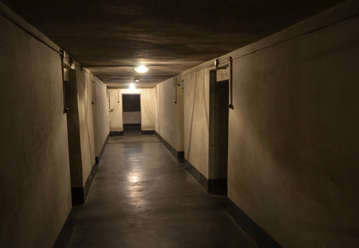 A dimly lit underground corridor with concrete floors and walls, the basement of Block 11 at the Auschwitz I site. The corridor has simple, bare lighting fixtures on the ceiling, casting shadows along the walls. There are numbered doors along the sides, and at the end of the corridor, there is an open doorway leading to another space.