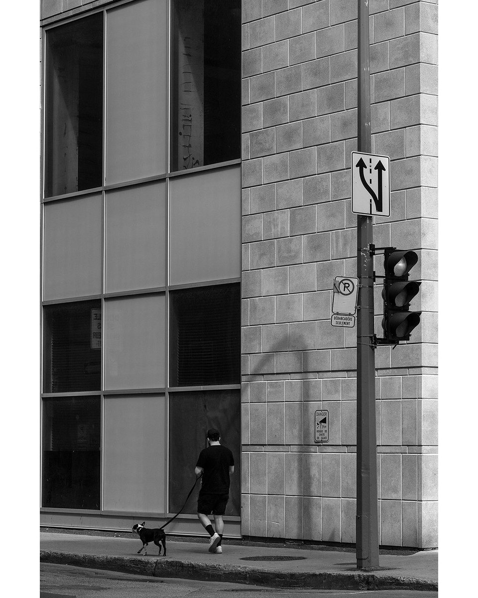 LouiseVerdone's tweet photo. Dog about town #Montreal #streetphoto📷😊
Chien en ville, scène de rue de #Montréal☮️👋
https://t.co/W57guoMijM🇨🇦
#streetphotography #urbanphotography #blackandwhitephotography #monochromephotography #bnwphotography #Photography #BW_streetphotography #everybodystreet https://t.co/vhUCj8Kp4E