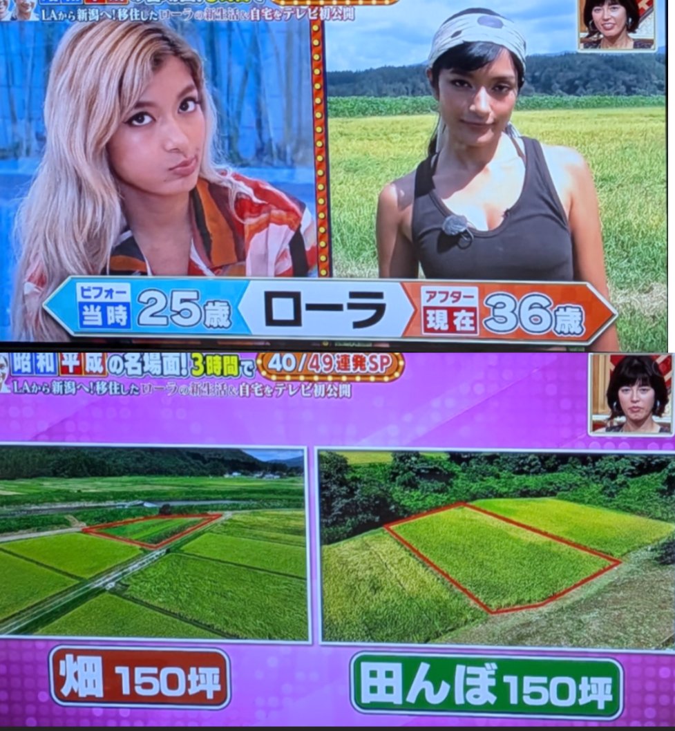 Nifty50JEPI1489's tweet photo. ローラ、新潟にて本気で結構な規模の農場をやっていた。
これ批判してた奴、どうすんだよ。 https://t.co/9DFhsA2ZP9