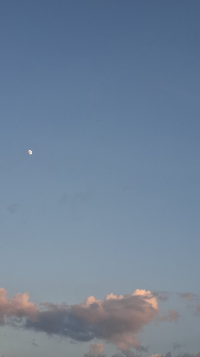 oomim09 tweet picture