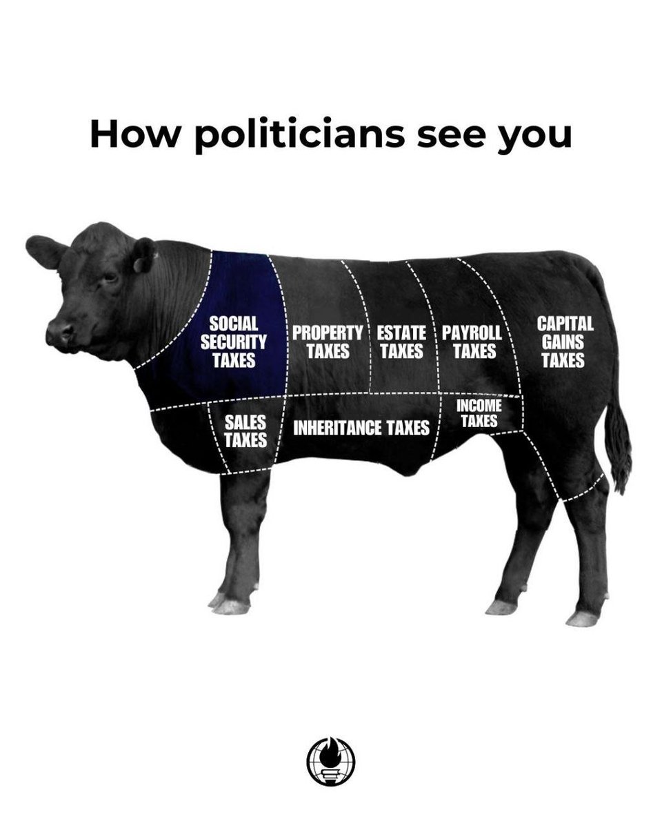MrSausageGet's tweet photo. https://t.co/R3ZZ3LWMA0