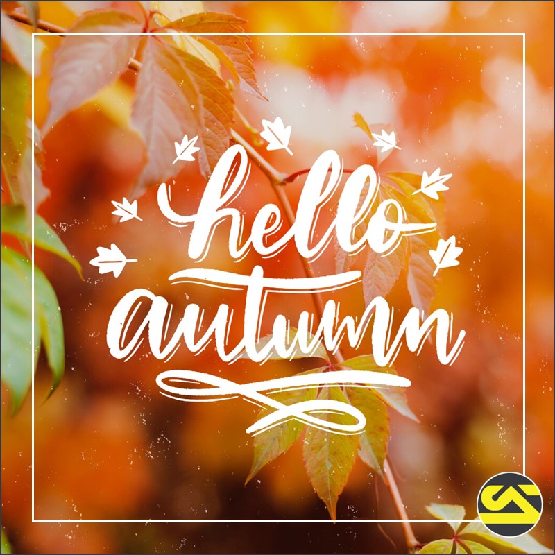 SignatureCRE's tweet photo. Happy First Day of Fall! As the seasons change, we welcome the crisp air, colorful leaves, and fresh opportunities that autumn brings. Wishing everyone a wonderful start to the season!

#FirstDayOfFall #HelloAutumn #SignatureAssociates #KnowSignature #CRE https://t.co/TlkXJB7qy8