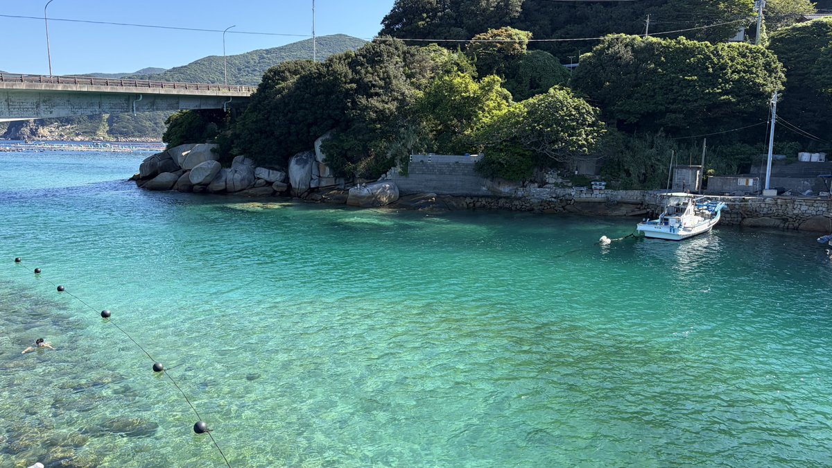 noir_____x's tweet photo. 野生の🐬ﾁｬﾝ見れたの
ポケふたもgood https://t.co/jkO31x68jF