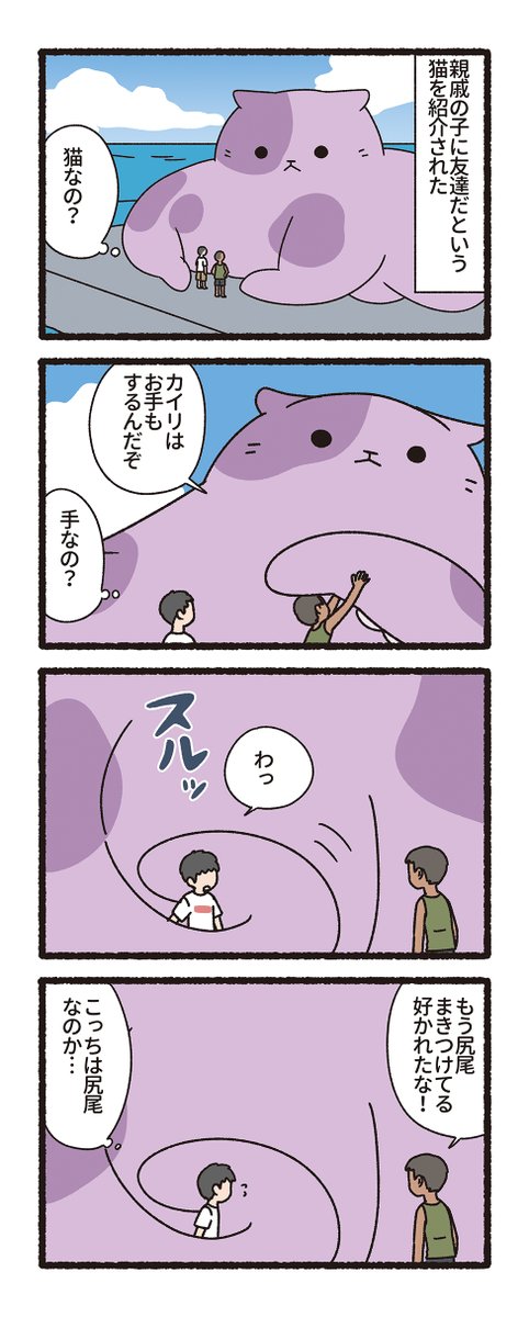 pandania0's tweet photo. 大きなメンダコみたいな猫（1/3） https://t.co/T3io0GsVGm