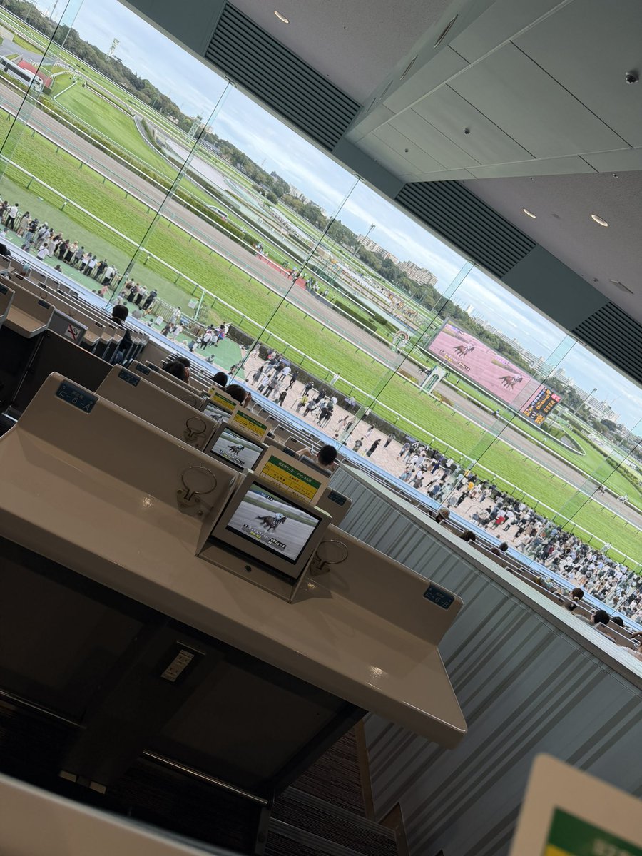 peterjr_kanayan's tweet photo. 東京というか千葉行ってきた！
初めての競馬！笑 ロイヤルファミリーしてきた！😂 https://t.co/3sjwk0oGej