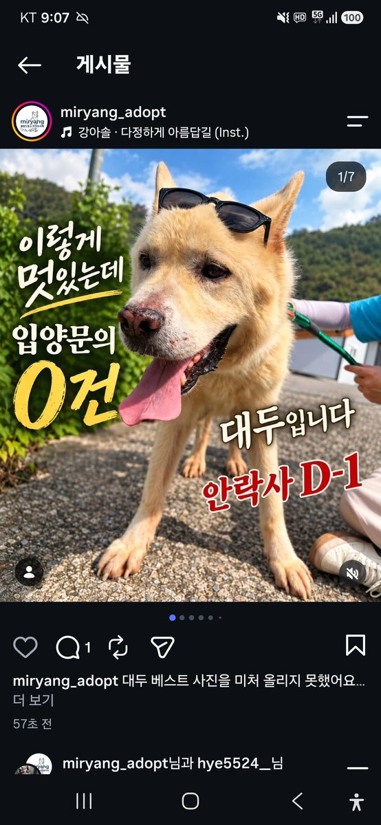 animalrtaccount's tweet photo. 입양문의: 010.2527.3490
9/23 밀양시안락사
아이들 정보 링크
https://t.co/qGb9UNwqWS https://t.co/1b5BsnHDJ9