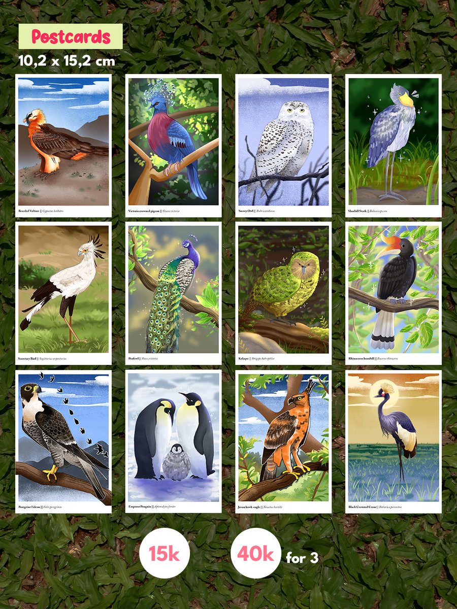 Scarsan_jpg's tweet photo. [1/3] 
🦅CAAAAWWWWWWWW 🦜

Full Catalogue for #cf23!!!
if u love birbs come visit me!!!

#comifuro #comifuro23 https://t.co/dXOAw3E8mZ
