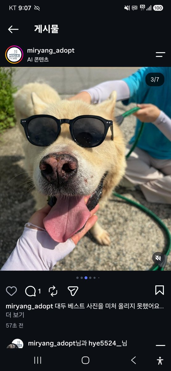 animalrtaccount's tweet photo. 입양문의: 010.2527.3490
9/23 밀양시안락사
아이들 정보 링크
https://t.co/qGb9UNwqWS https://t.co/1b5BsnHDJ9
