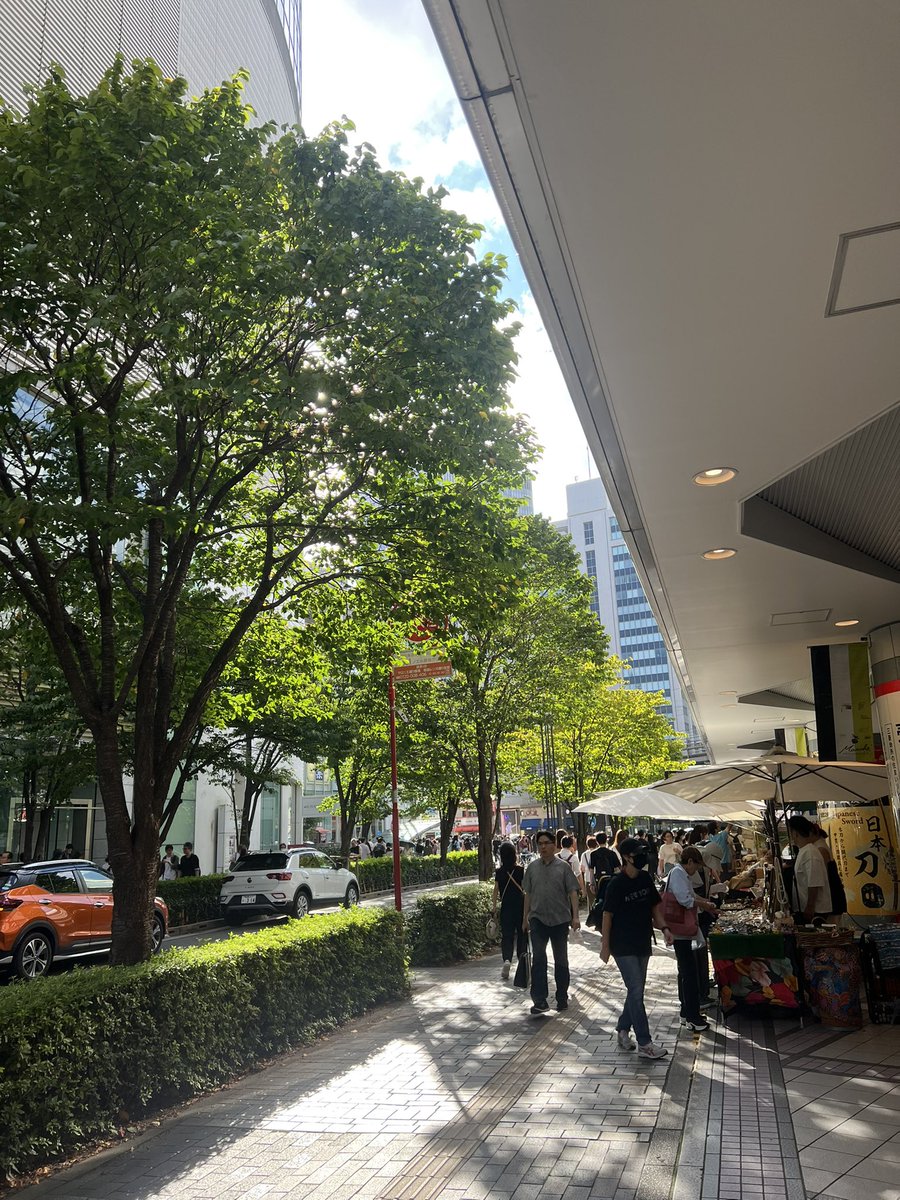 xRUAx's tweet photo. 思い出す。
こんな暑く晴れた日だったっけ。

一度だけ来た場所
一度きりの場所
一度だけなのに、消えはしない。

私がおばあちゃんになっても覚えているのかな。 https://t.co/HfblItmlBM