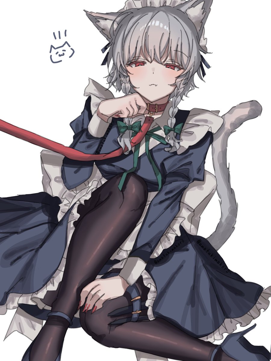 amatukimahoro's tweet photo. 猫咲夜 https://t.co/AZ7A2AZU3V