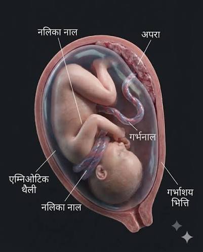 PrakashY080658's tweet photo. @RishiPrasadOrg गर्भ में पल रहा जीवन कोई बोझ नहीं, ईश्वर की अमूल्य देन है। 🙏
सनातन संस्कृति हमें प्रत्येक जीवन के प्रति करुणा, संवेदना और संरक्षण का संदेश देती है। आइए, जीवन के सम्मान का दीप जलाएँ और समाज को जागरूक करें। 🚩🕉️
#RishiPrasad #SantShriAsharamjiBapu #ProtectLife https://t.co/RKvnUMg8eh