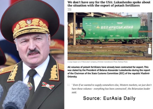 gingerbarker24's tweet photo. @brianlilley you are entirely too gullible for this line of work. Lukashenko already took the piss out of Trumps story. 

1. They don't have the capacity to supply the US
2. How are they going to get it to the US. 

Colour me shocked that Trump is bluffing. Wake up https://t.co/dzrUxYSH2U