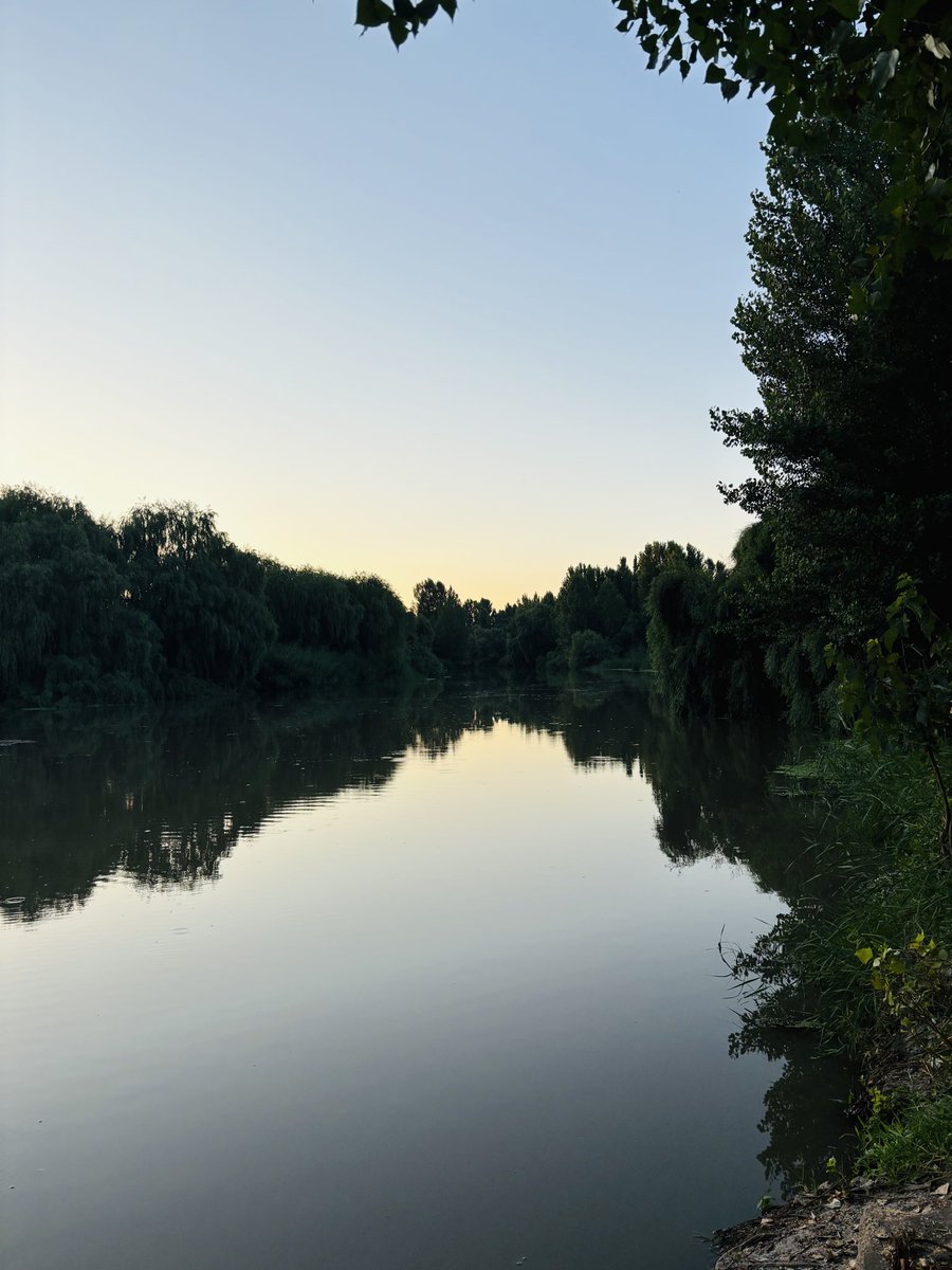 Rojbinxx's tweet photo. "True Detective sahnesi gibi duruyor ama değil; burası Hevsel Bahçeleri, Dicle'nin saklı yüzü. 🎬🌲" 
#Amed
#Dicle
#Hevsel https://t.co/pZ6xMGOOSK