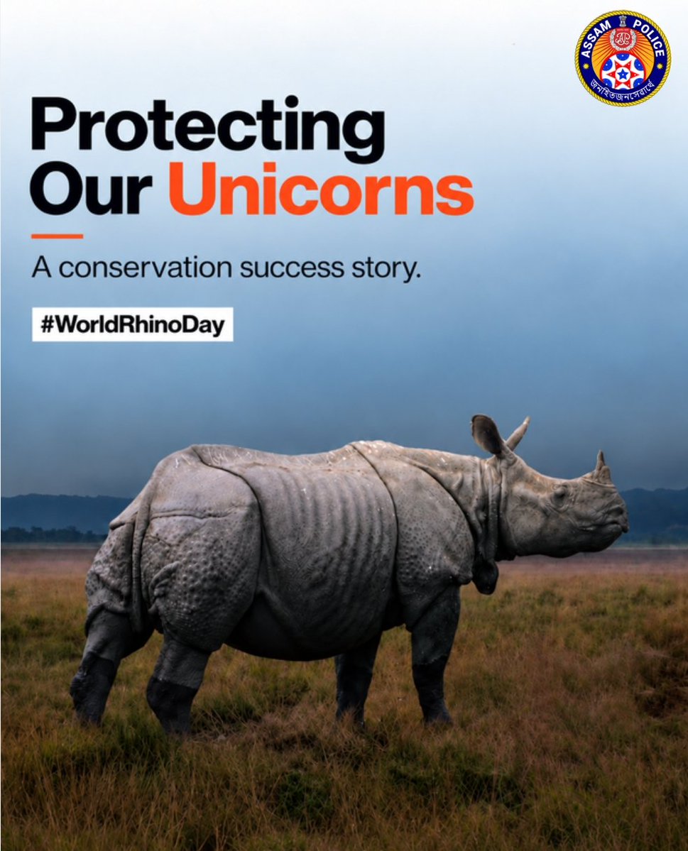 assampolice's tweet photo. Under the guidance of Hon’ble CM Dr @himantabiswa Sir, Team Assam has turned rhino conservation into a story of sustained protection and collective resolve.

With zero tolerance towards poaching and coordinated efforts on the ground, our Rhinos continue to roam safer in Assam.

On #WorldRhinoDay, we celebrate this commitment and renew our resolve to protect them. 

@HardiSpeaks @assamforest @kaziranga_