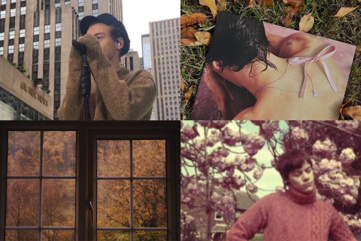 sonnyangelrry's tweet photo. happy hs1 season ⋆.˚🍂⋆.˚ https://t.co/usHqapW8Gj