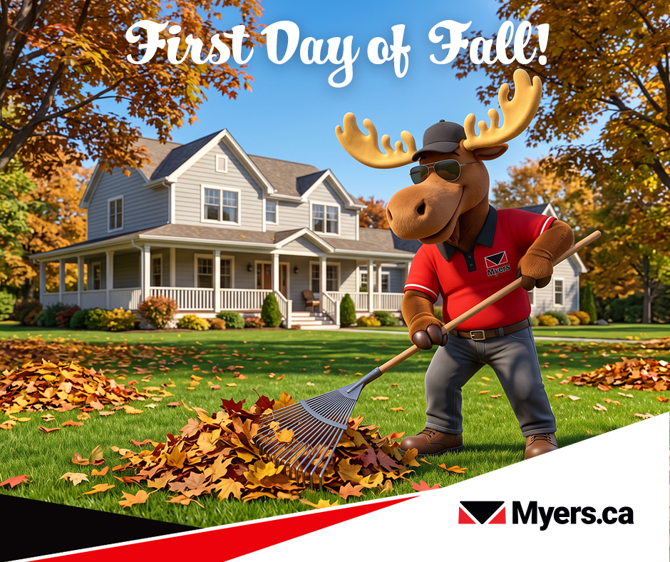 BarrhavenVW's tweet photo. 🍂 Happy First Day of fall! 🍁

Rake up some leaves and get ready for autumn adventures. 😊 It’s the perfect day for a scenic fall drive🚙 

#MyersOttawa #WereFamily #Autumn #FirstDayofFall https://t.co/gHDauq5VZ6