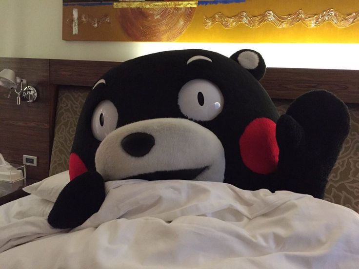 happymonmonmon's tweet photo. @55_kumamon モンちゃん
おやくま🐻
ゆっくま休んではいよ💤 https://t.co/OSib1eRm4Y