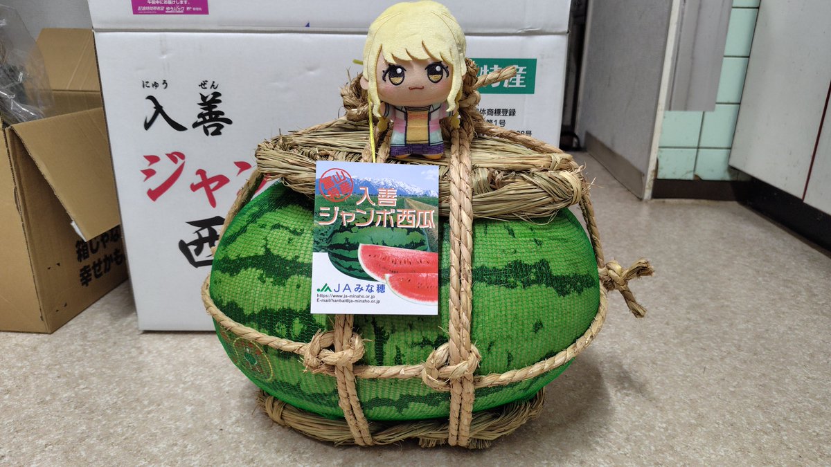 Hatate0314's tweet photo. @gakumasu_405 今は千葉県産の「あきづき」梨がオススメだナー！
ちなみに日本一デカい「入善ジャンボ西瓜(これでも最小サイズ)」も食べたナー！(１人で) https://t.co/xM9t9bZJpx