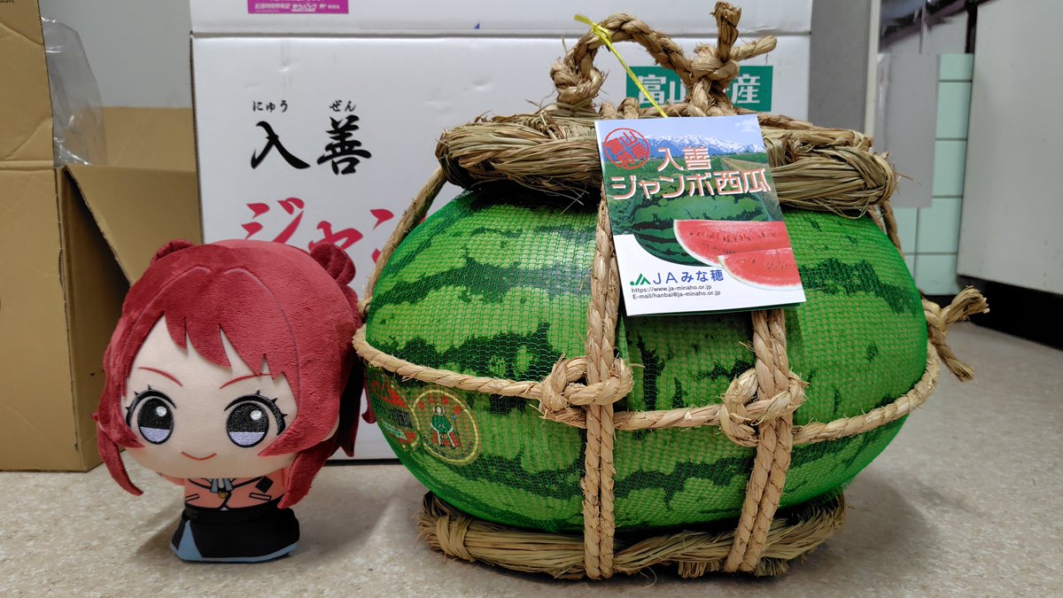 Hatate0314's tweet photo. @gakumasu_405 今は千葉県産の「あきづき」梨がオススメだナー！
ちなみに日本一デカい「入善ジャンボ西瓜(これでも最小サイズ)」も食べたナー！(１人で) https://t.co/xM9t9bZJpx
