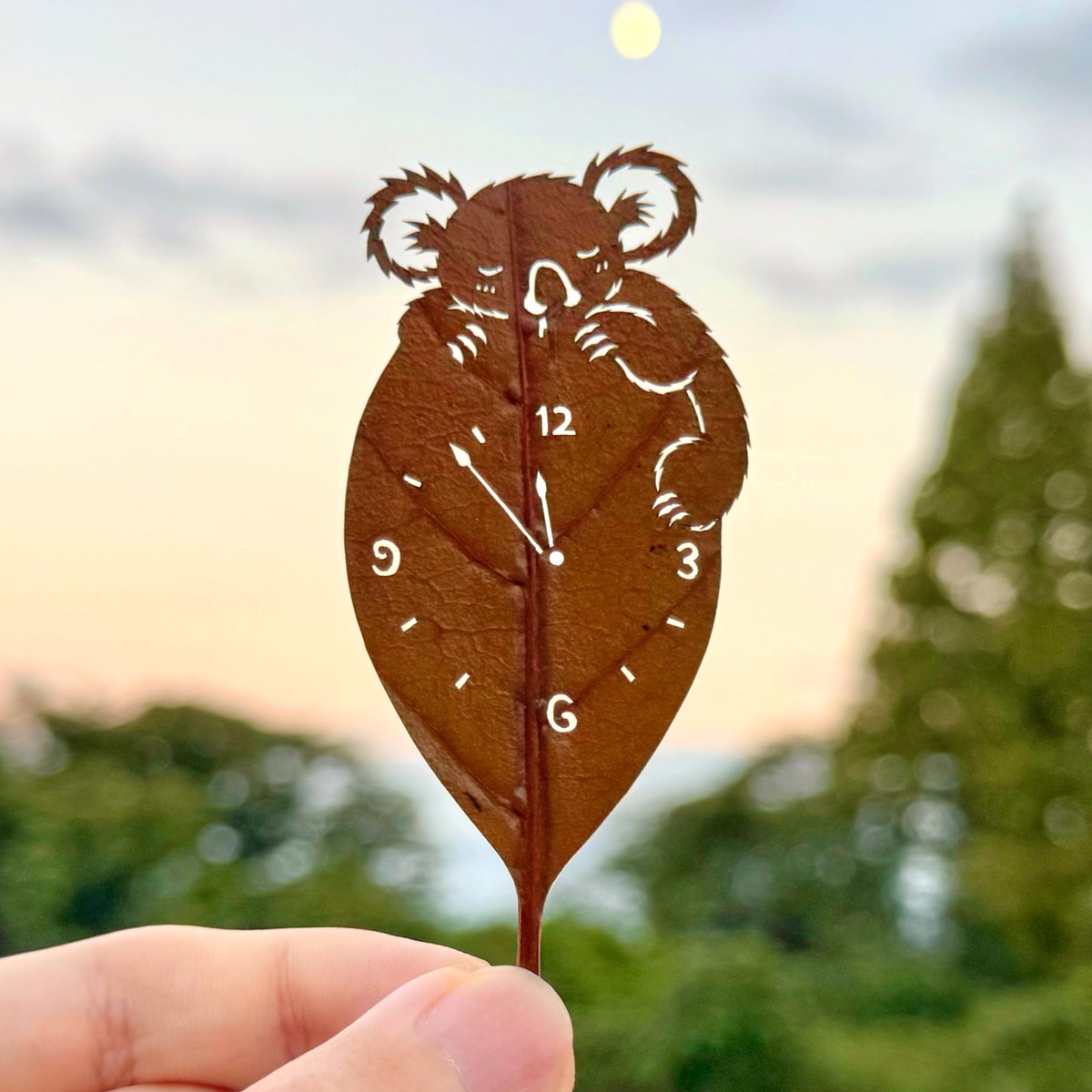 lito_leafart's tweet photo. ｢今日の予定は、あしたの予定になりました｣

#寝るのも仕事🐨 https://t.co/hxo2sTidPe