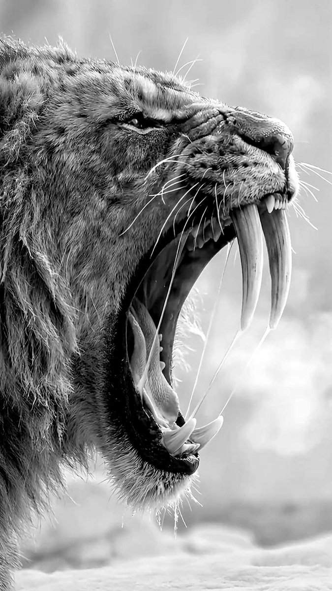 Todriip__'s tweet photo. 𝐋𝐎𝐂𝐊 𝐒𝐂𝐑𝐄𝐄𝐍 𝐖𝐀𝐋𝐋𝐏𝐀𝐏𝐄𝐑 | 𝐇𝐎𝐌𝐄 𝐒𝐂𝐑𝐄𝐄𝐍 𝐖𝐀𝐋𝐋𝐏𝐀𝐏𝐄𝐑

𝐃𝐑𝐎𝐏 𝐘𝐎𝐔𝐑𝐒

𝐓𝐇𝐑𝐄𝐀𝐃 https://t.co/aJrZohN7ek