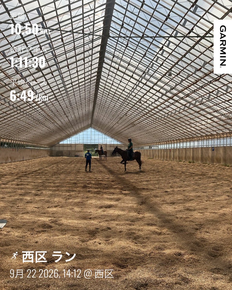 0715Miko's tweet photo. リカバリージョグ

AMは🐎レッスン
熱かった
初相棒は速い子でした

昼から
リカバリージョグ
走りすぎなのでゆっくり
後半はテンポ上げて

良い運動ができてます https://t.co/ocSAO14wHv