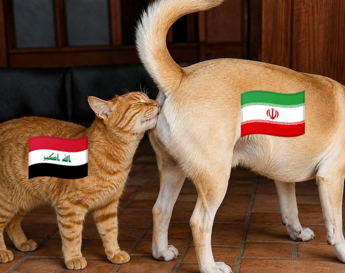 ijivt9's tweet photo. @Drbasil14 الذيول واللاطامة زبابيگ الفاطس في مجروره يصعب عليهم استيعاب مصالح الدول
طائفيتهم من تحركهم لا مصالح الوطن الذي جاؤوه خلف دبابة محتل https://t.co/EyBfRR0Olx