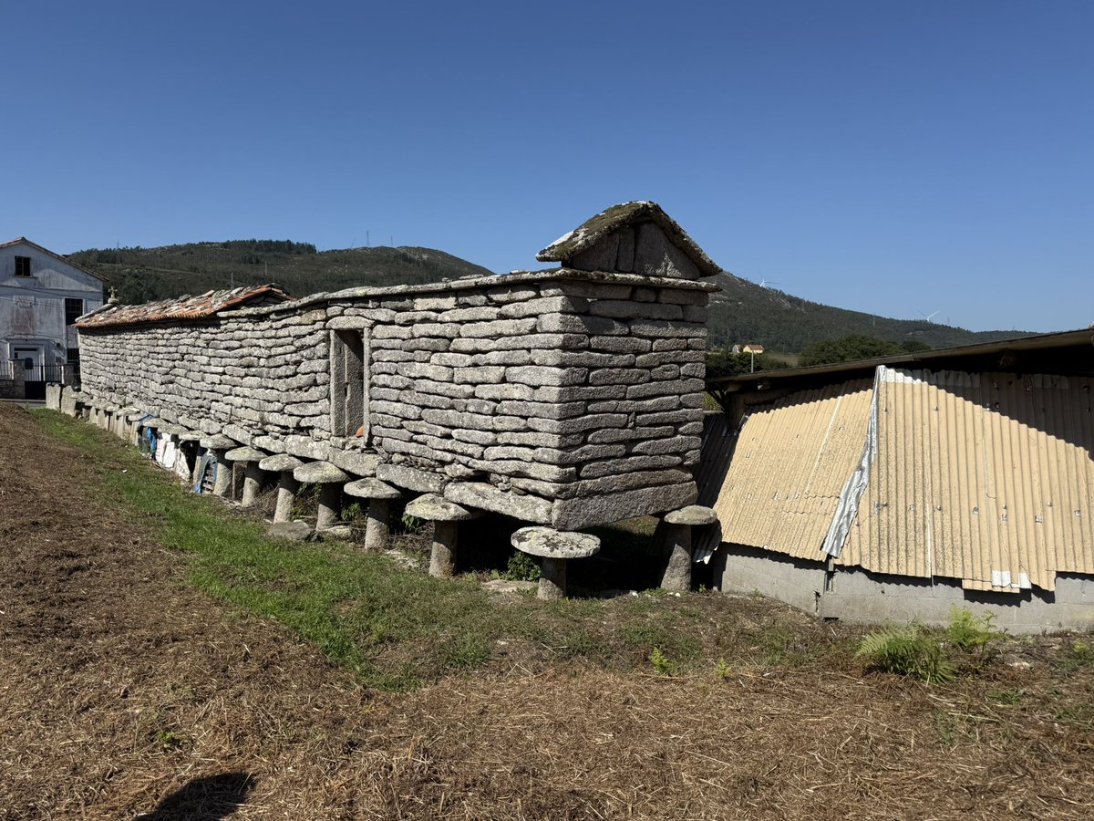 apatrigal_'s tweet photo. O Cabazo de Cambeda (Vimianzo) merece algo mellor

Non podemos resignarnos a velo con esas miserables chapas plásticas, alleas á súa arquitectura

Deturpan, empobrecen e rouban dignidade a un ben cultural tan valioso 

@VimianzoTurismo #Vimianzo @CostadaMorteTur @vozcarballo https://t.co/tsTjBAhUrO