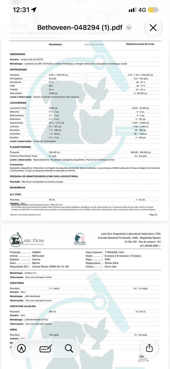 coerenan_'s tweet photo. as consultas e internações são muito caras, e não estou mais conseguindo arcar com esses custos, quero a oportunidade de ajudar meu filho. 🥺😭
Quem puder ajudar, vai me salvar 🙏🏽🙌🏽

Chave pix: 21970175124
Banco do Brasil
Steffany https://t.co/YgTY2rOhG7