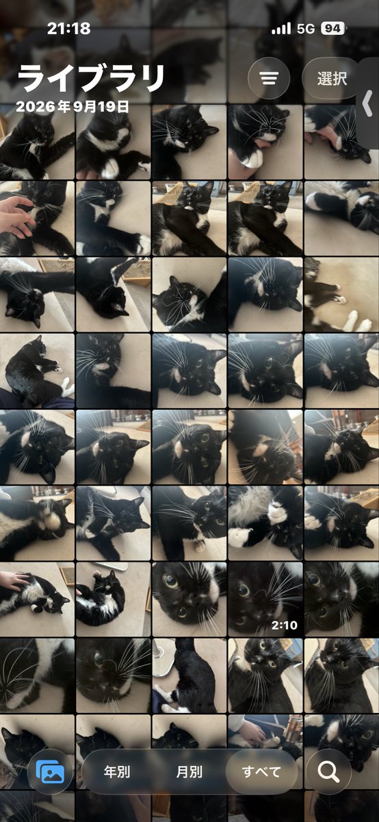 MENMA_NEMUI's tweet photo. 家族写真より猫の写真を撮ってた🙄🙄
最っ高に幸せだった🥰🥰🥰 https://t.co/aByX36wpvm